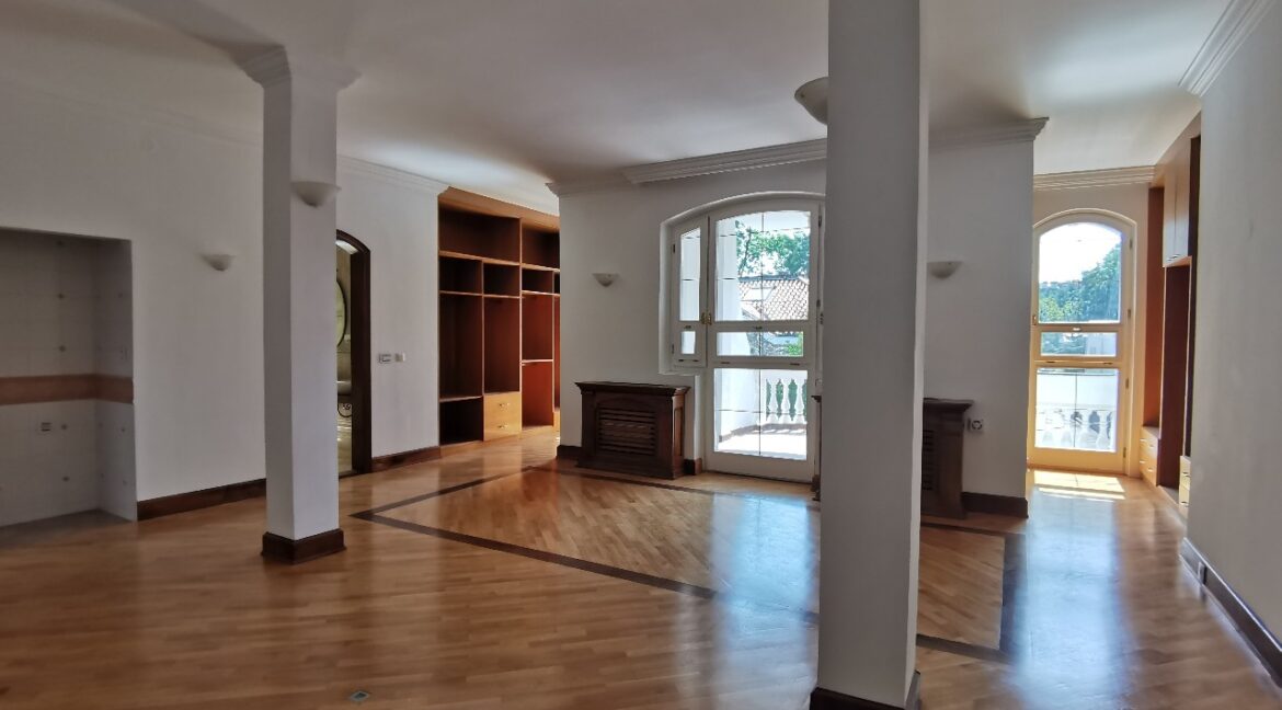 Dedinje luxury house for sale (2)