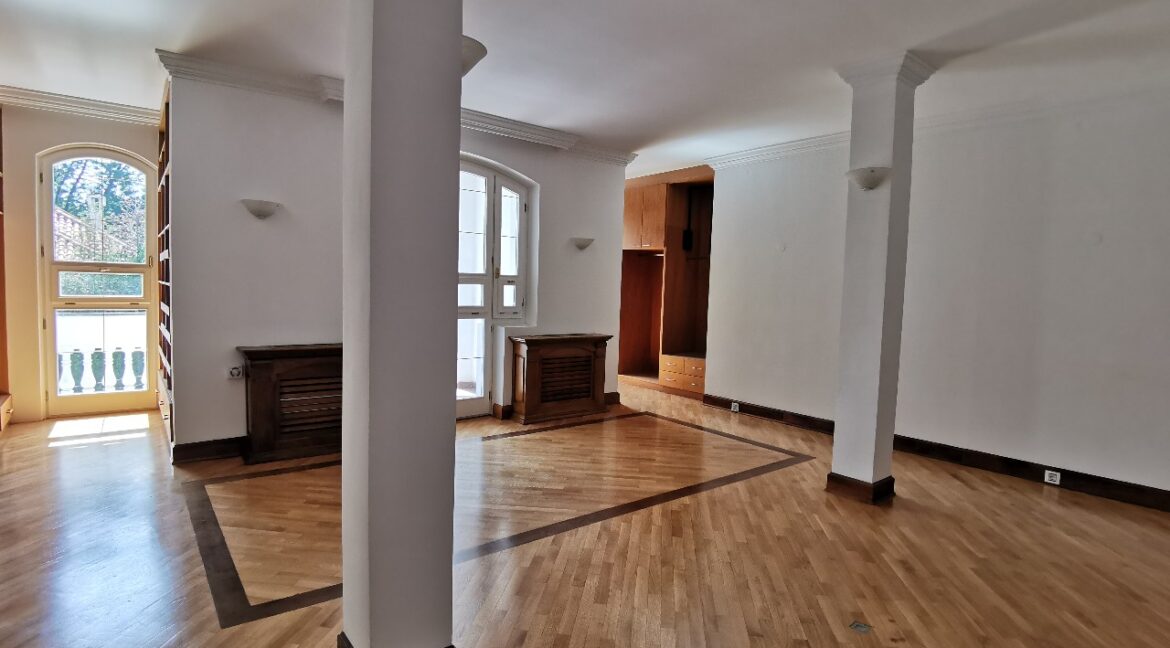 Dedinje luxury house for sale (3)