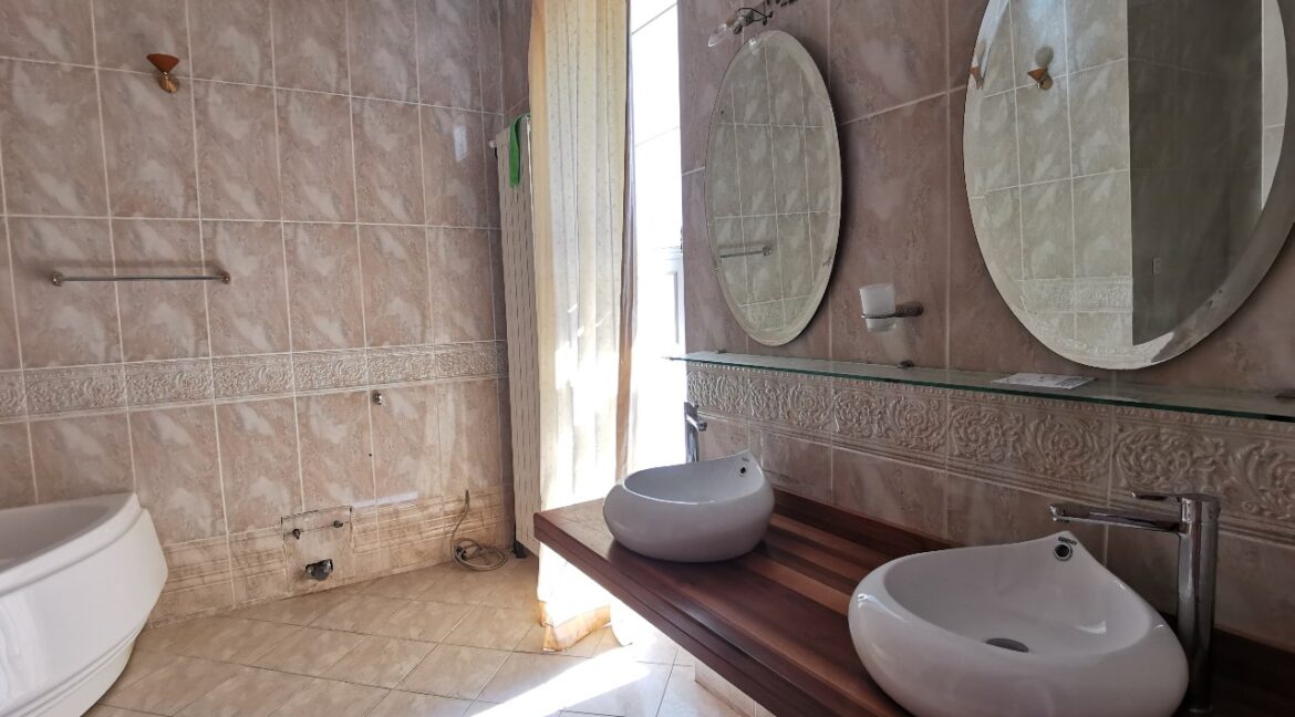 Dedinje luxury house for sale (5)