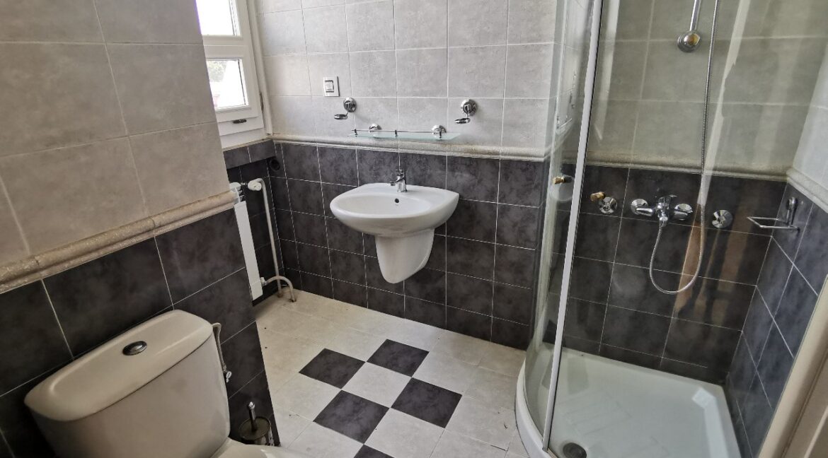 Dedinje luxury house for sale (7)
