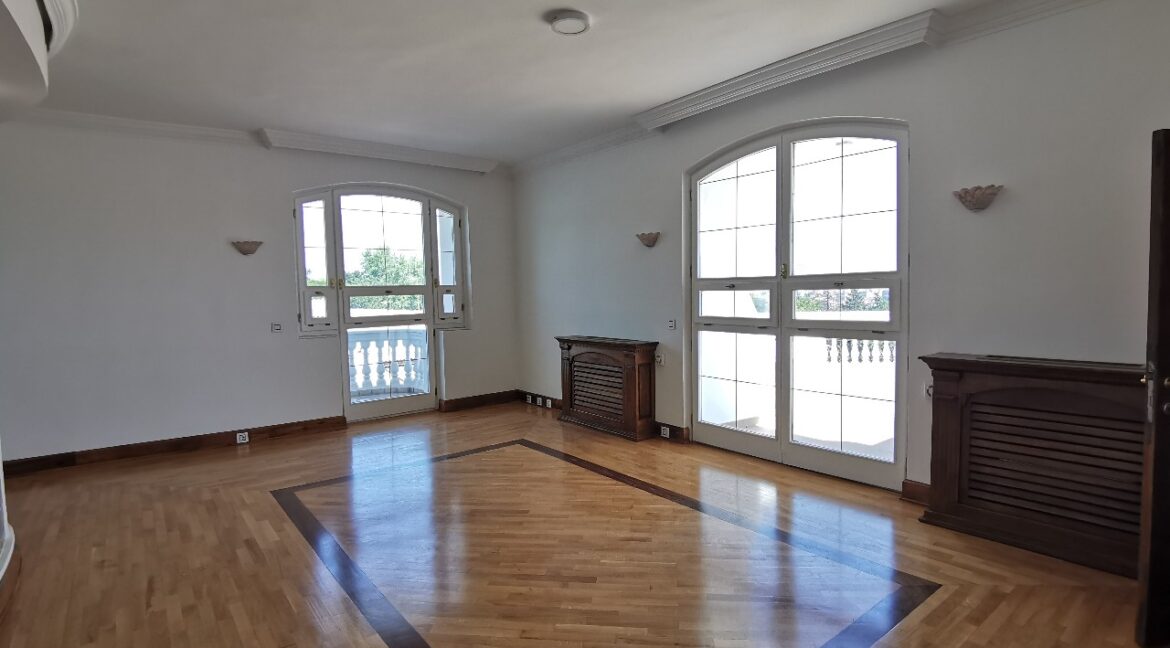 Dedinje luxury house for sale (8)