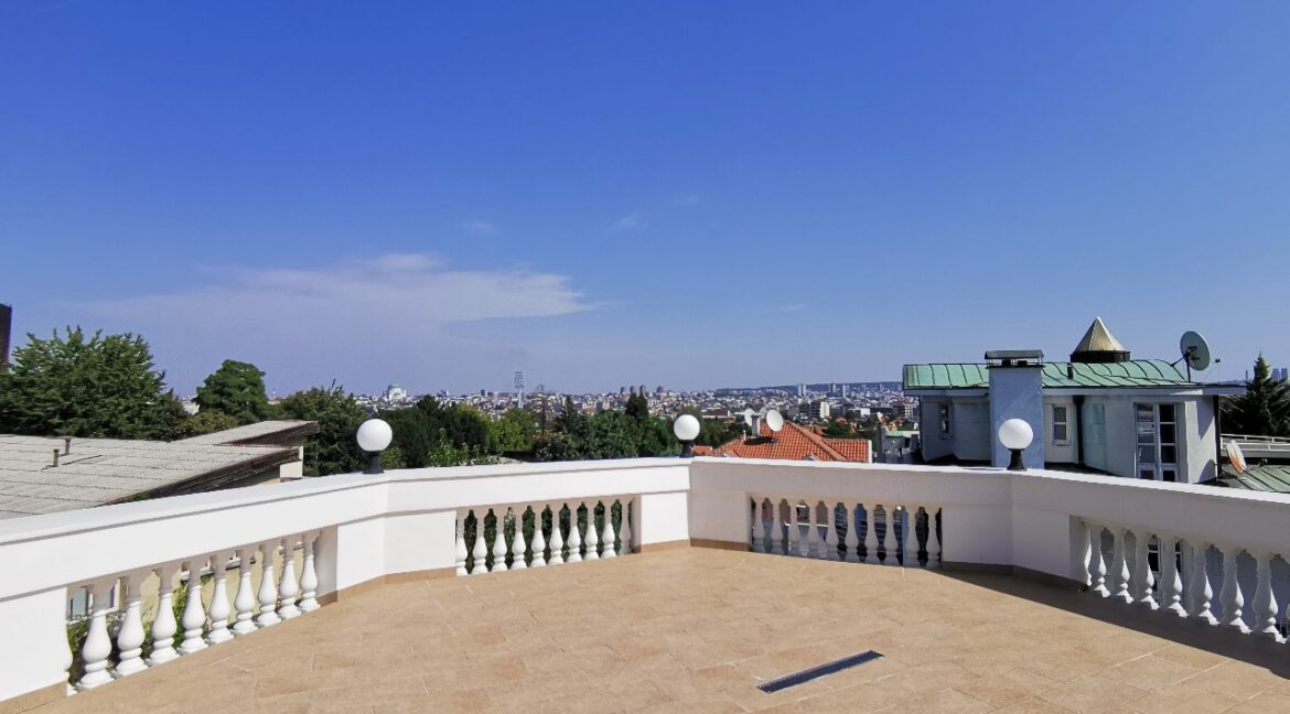 Dedinje luxury house for sale (9)