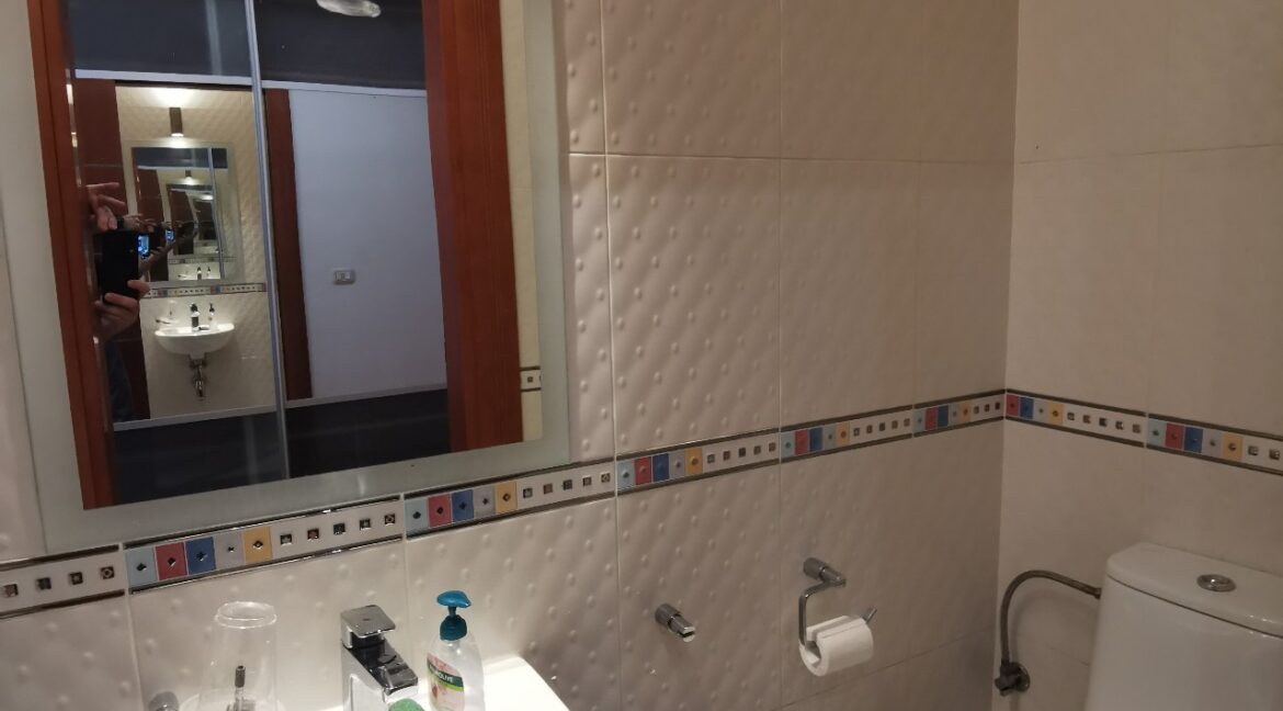 Vračar 160sqm apartment for rent (10)