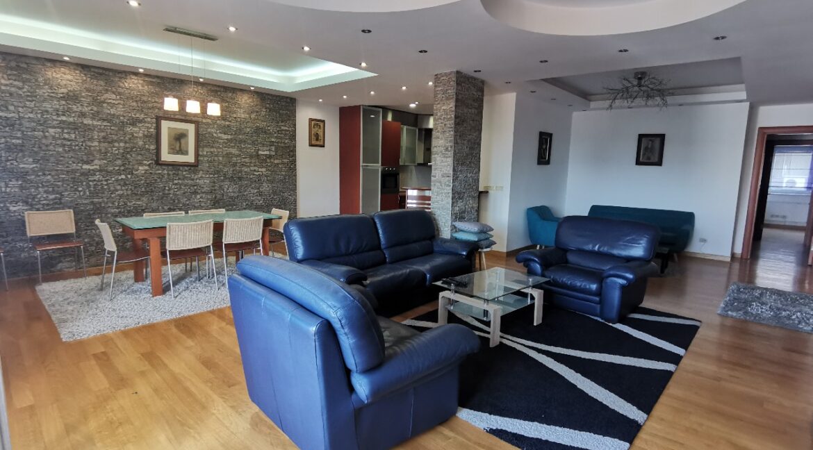Vračar 160sqm apartment for rent (14)