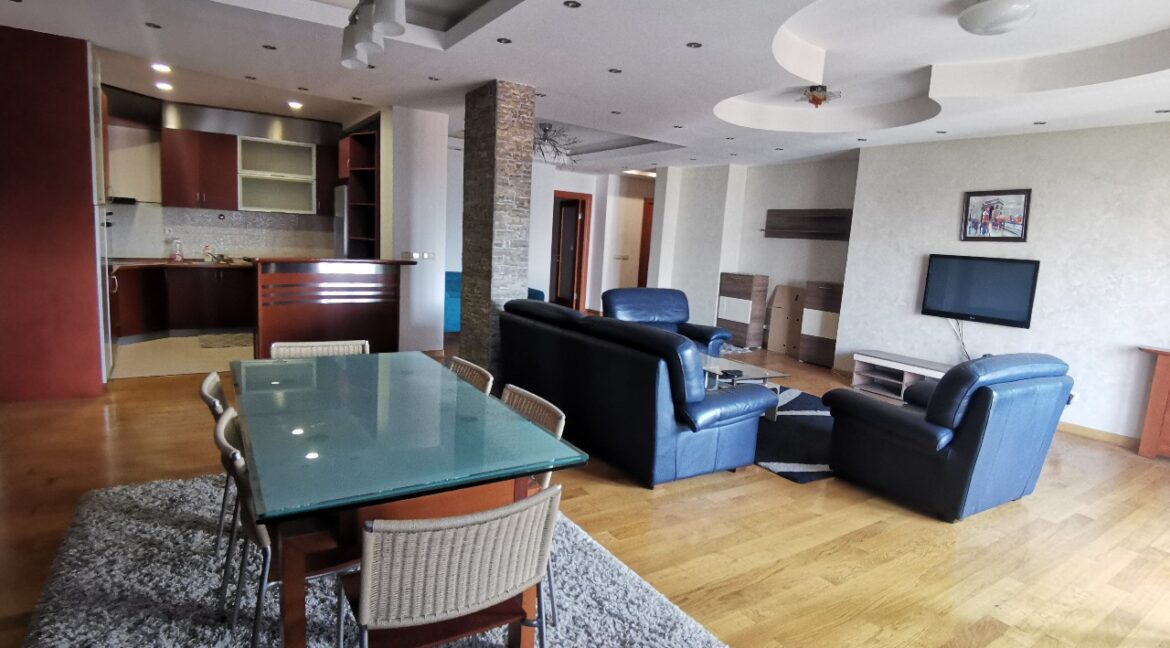 Vračar 160sqm apartment for rent (17)