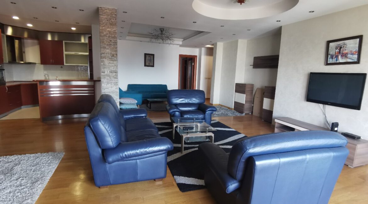 Vračar 160sqm apartment for rent (18)