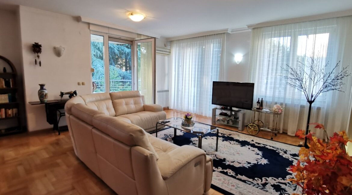 Dedinje luxury apartment for rent (10)