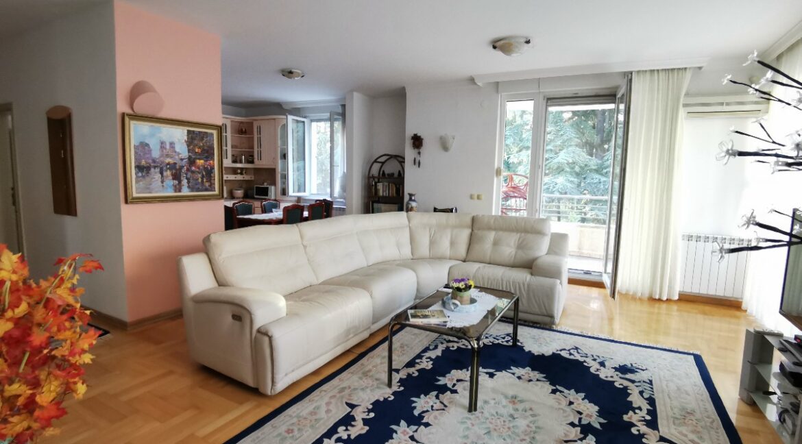 Dedinje luxury apartment for rent (4)