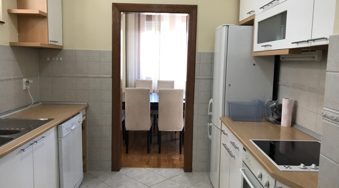 Senjak 170sqm luxury apartment for rent (8)